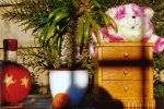 Stilllife test photograph.